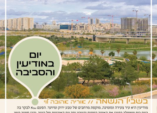 יציאה טובה