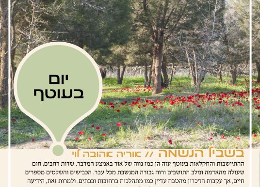 יום בעוטף